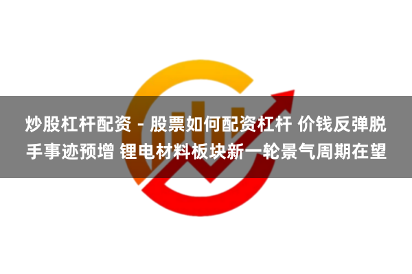 炒股杠杆配资 - 股票如何配资杠杆 价钱反弹脱手事迹预增 锂电材料板块新一轮景气周期在望